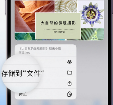 阳城apple维修中心分享iPhone文件应用中存储和找到下载文件