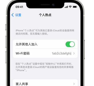 阳城apple服务站点分享iPhone上个人热点丢失了怎么办