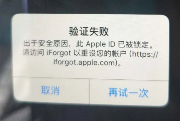 阳城iPhone维修分享iPhone上正常登录或使用AppleID怎么办 