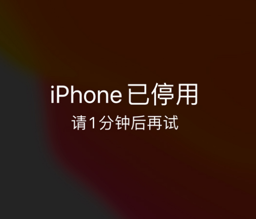 阳城苹果手机维修分享:iPhone 显示“不可用”或“已停用”怎么办？还能保留数据吗？ 