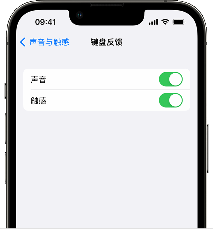 阳城苹果14维修店分享如何在 iPhone 14 机型中使用触感键盘 