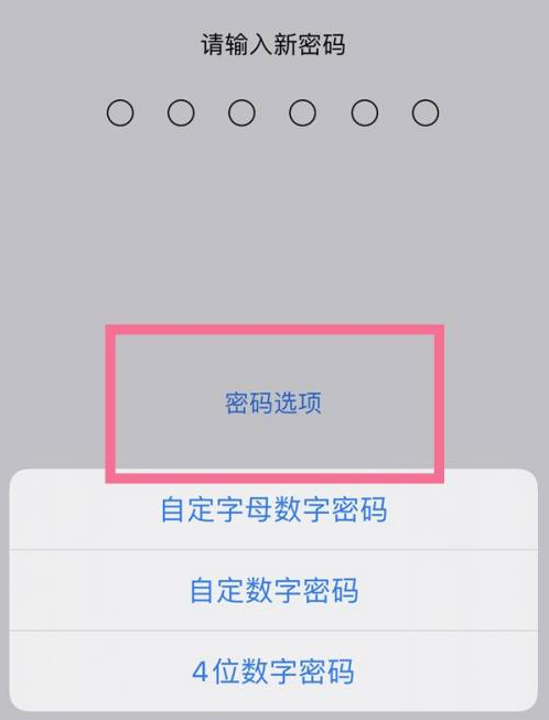 阳城苹果14维修分享iPhone 14plus设置密码的方法 