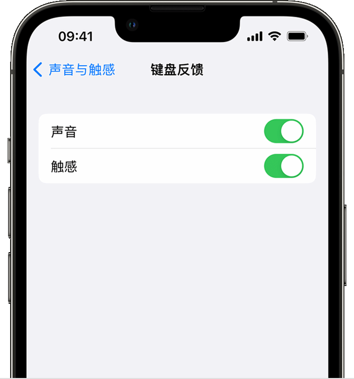 阳城苹果14维修分享iPhone 14 系列机型如何开启键盘声音或触感反馈 