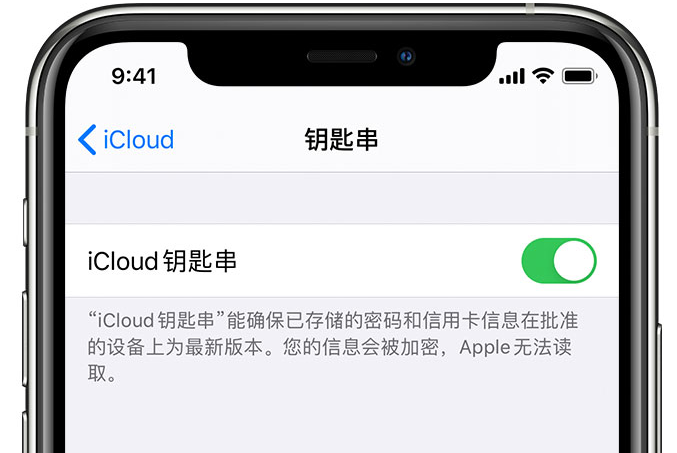 阳城苹果手机维修分享在 iPhone 上开启 iCloud 钥匙串之后会储存哪些信息 