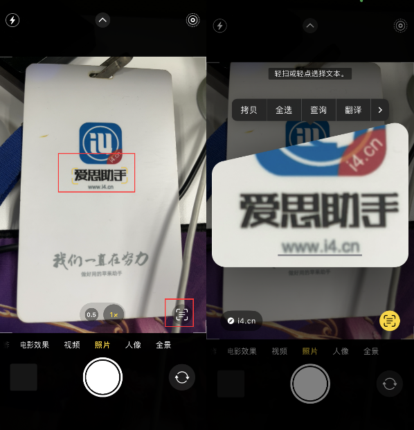 阳城苹果手机维修分享升级iOS 16后如何通过相机翻译文本 