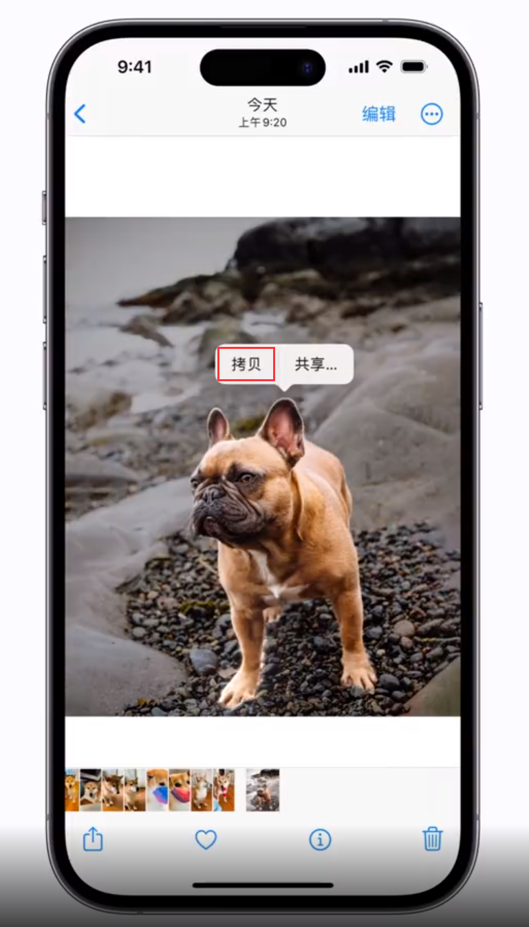 阳城苹果手机维修分享 iOS 16 自带一键抠图功能 