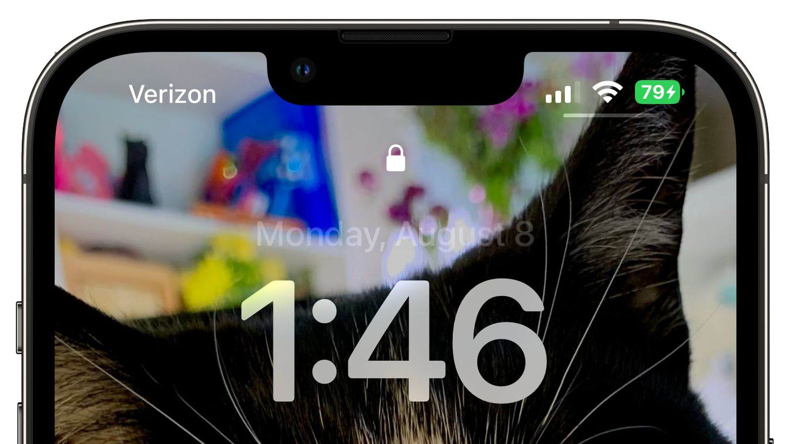 阳城苹果手机维修分享iOS 16 beta 5 支持状态栏显示电池百分比，如何开启？支持哪些机型 