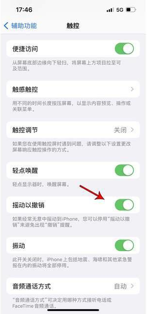 阳城苹果手机维修分享iPhone手机如何设置摇一摇删除文字 