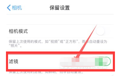 阳城苹果13维修分享iPhone13拍照有绿点是怎么回事 