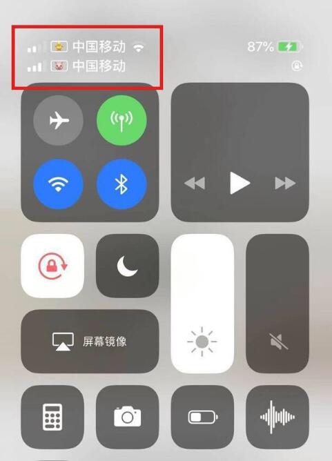 阳城苹果手机维修分享为 iPhone 12 双卡设置标签 