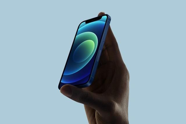 阳城苹果手机维修分享iPhone 12 mini辐射很大吗 