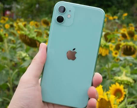阳城苹果维修点分享iPhone 11锁屏密码认知与使用科普 