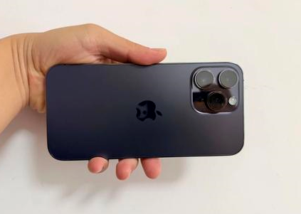 阳城苹果维修点分享iPhone 14 Pro Max黑屏少见故障盘点 